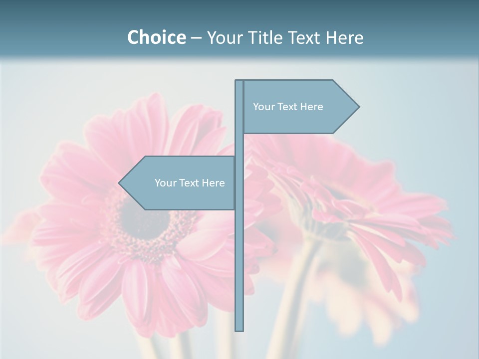 Three Pink Flowers In A Vase On A Blue Background PowerPoint Template