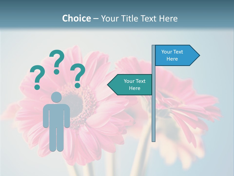 Three Pink Flowers In A Vase On A Blue Background PowerPoint Template