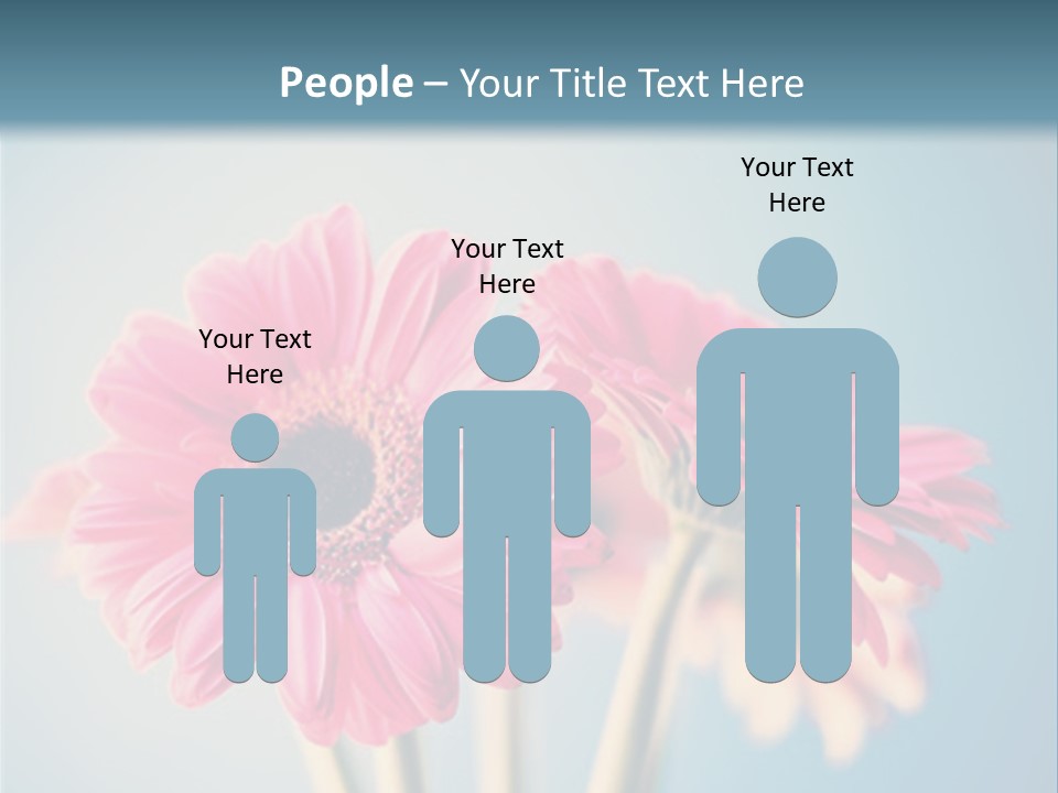 Three Pink Flowers In A Vase On A Blue Background PowerPoint Template