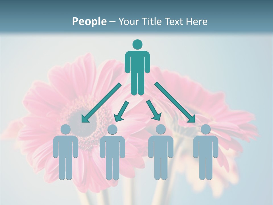 Three Pink Flowers In A Vase On A Blue Background PowerPoint Template