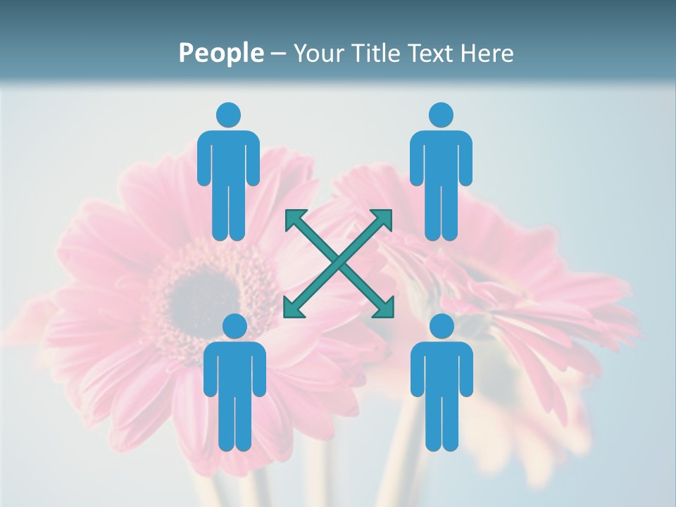Three Pink Flowers In A Vase On A Blue Background PowerPoint Template