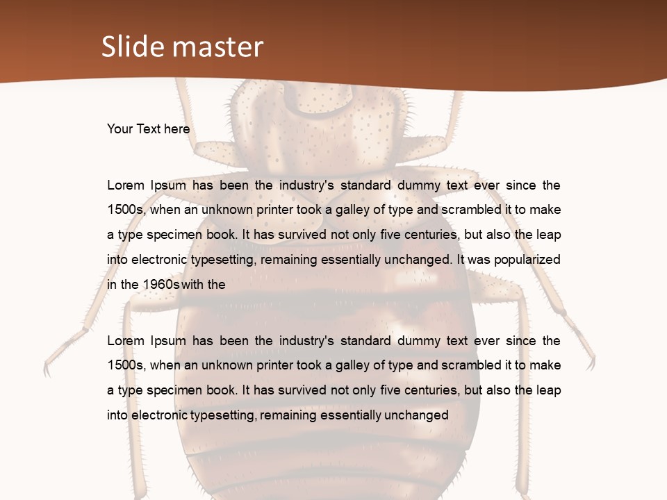 A Bed Bug On A White Background With A Brown Border PowerPoint Template