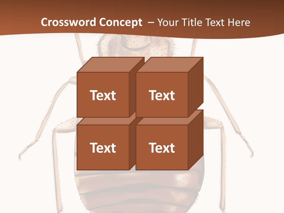 A Bed Bug On A White Background With A Brown Border PowerPoint Template