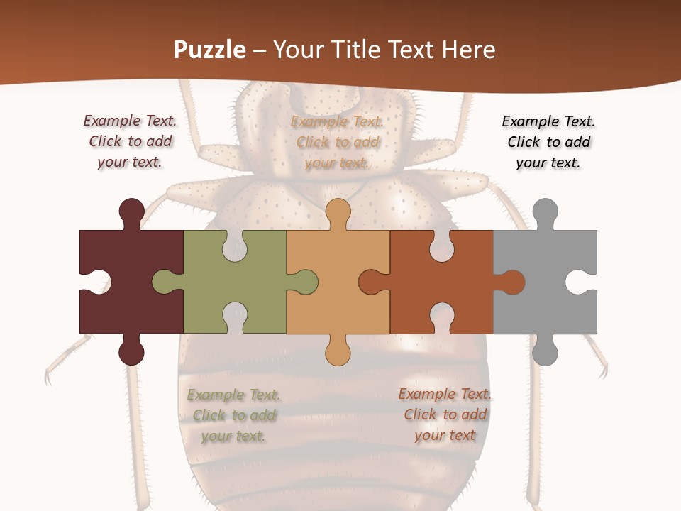 A Bed Bug On A White Background With A Brown Border PowerPoint Template