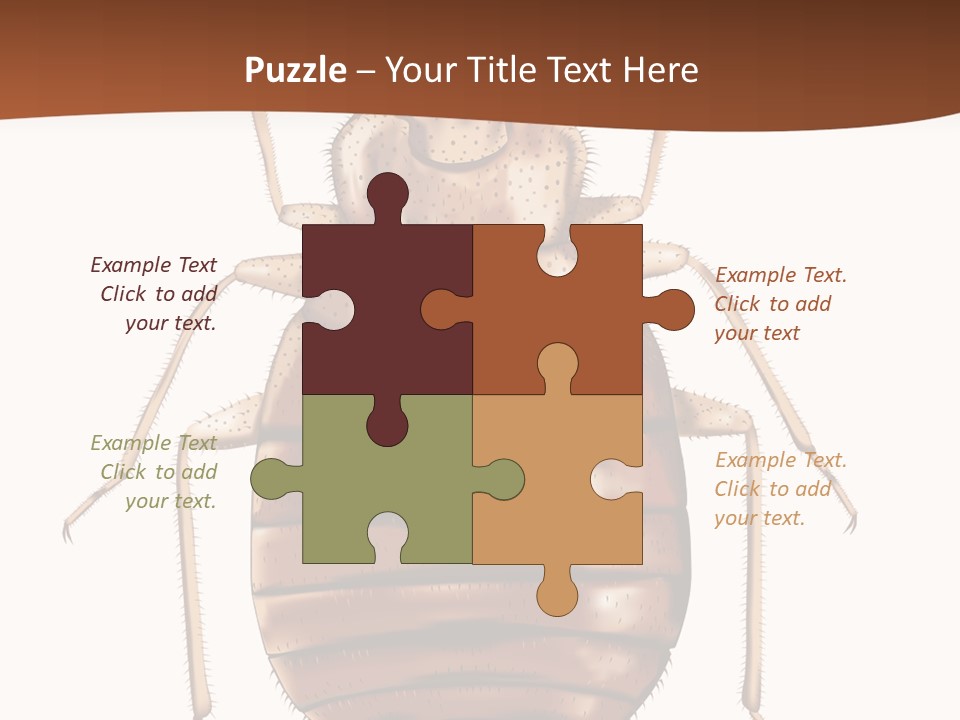 A Bed Bug On A White Background With A Brown Border PowerPoint Template