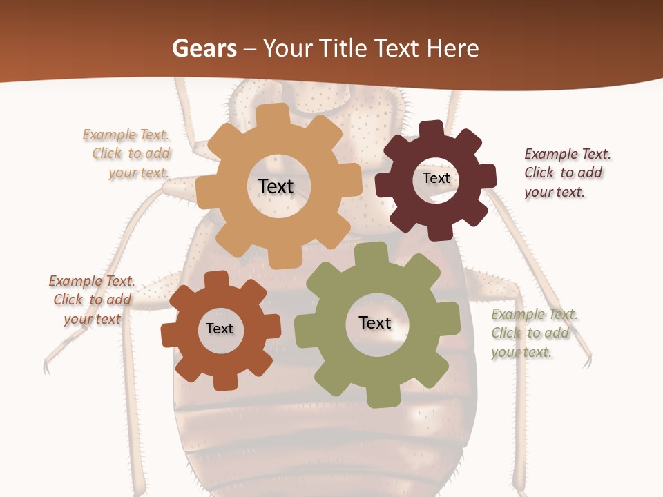 A Bed Bug On A White Background With A Brown Border PowerPoint Template