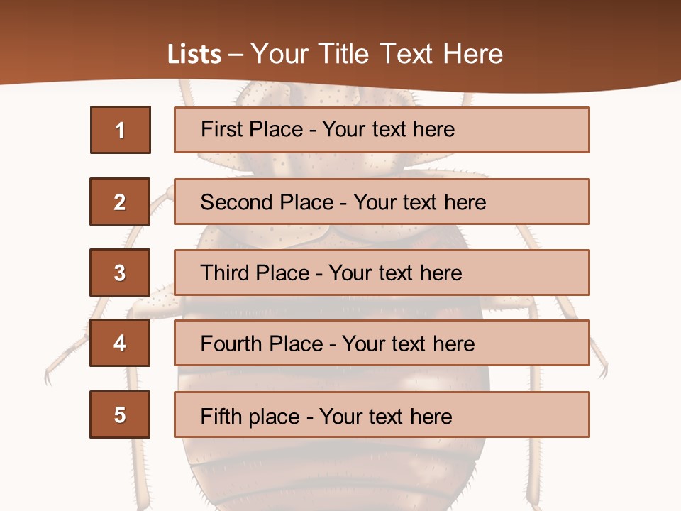 A Bed Bug On A White Background With A Brown Border PowerPoint Template