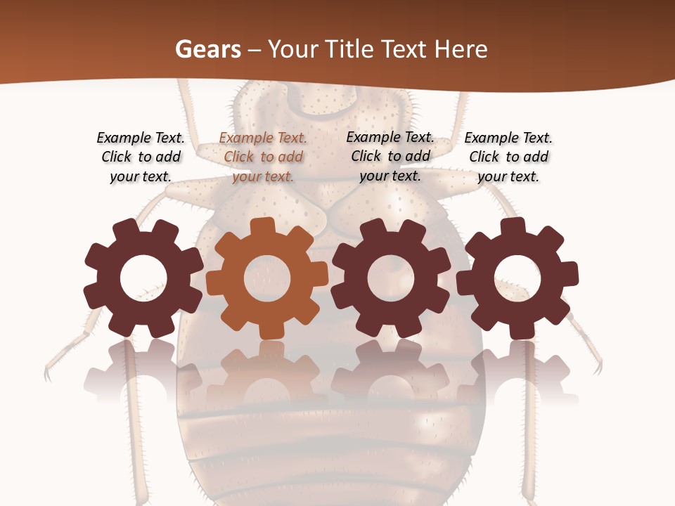 A Bed Bug On A White Background With A Brown Border PowerPoint Template