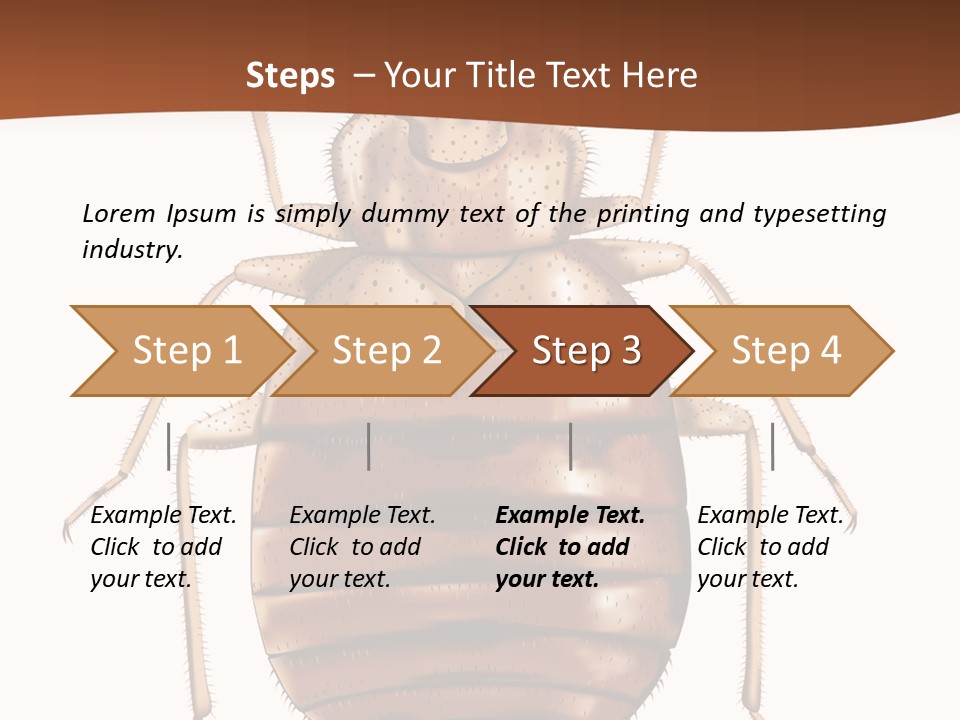 A Bed Bug On A White Background With A Brown Border PowerPoint Template