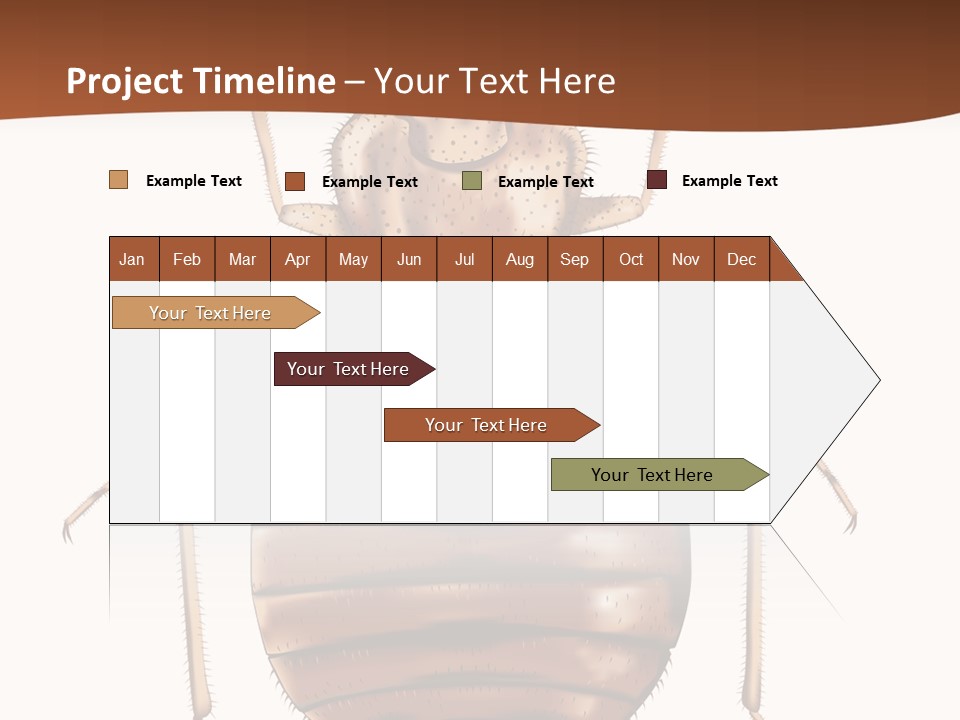 A Bed Bug On A White Background With A Brown Border PowerPoint Template