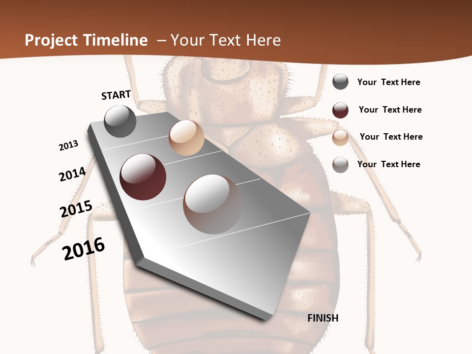 A Bed Bug On A White Background With A Brown Border PowerPoint Template