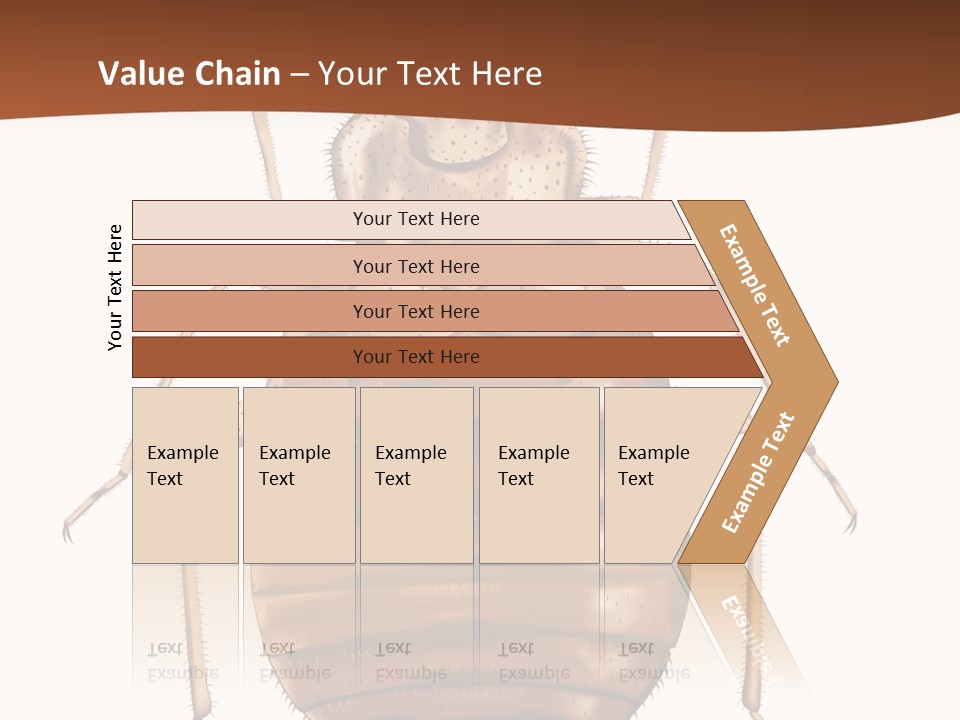 A Bed Bug On A White Background With A Brown Border PowerPoint Template