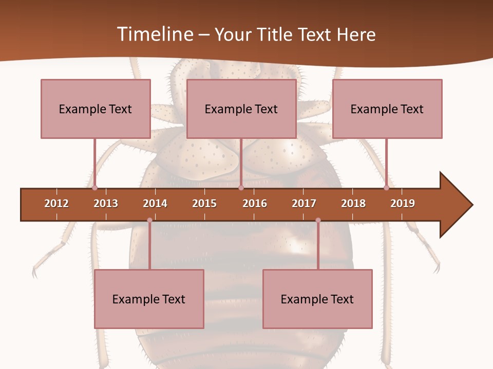 A Bed Bug On A White Background With A Brown Border PowerPoint Template