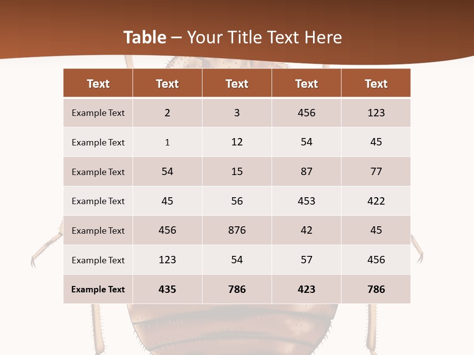 A Bed Bug On A White Background With A Brown Border PowerPoint Template