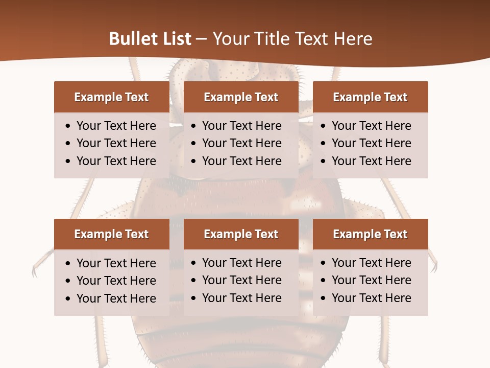 A Bed Bug On A White Background With A Brown Border PowerPoint Template