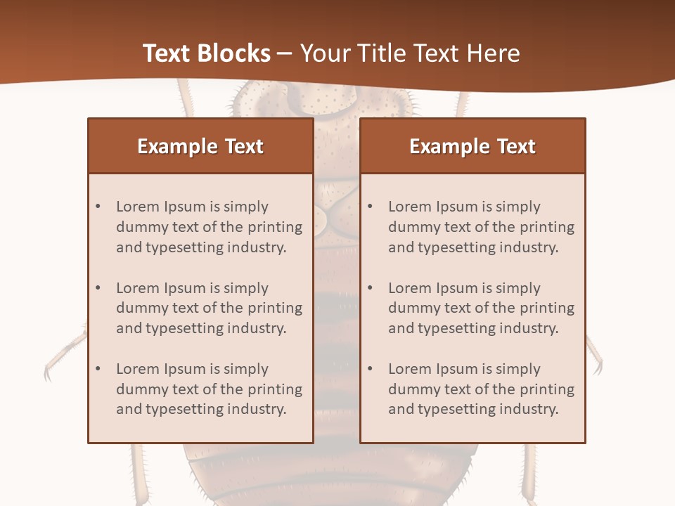 A Bed Bug On A White Background With A Brown Border PowerPoint Template