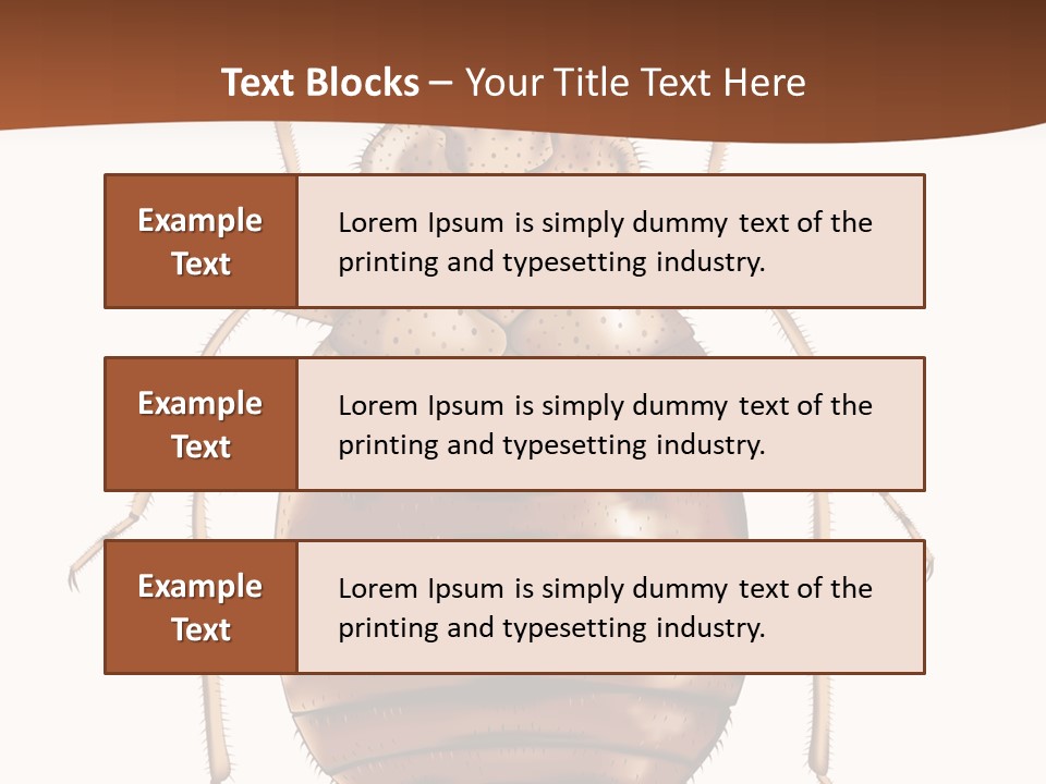 A Bed Bug On A White Background With A Brown Border PowerPoint Template