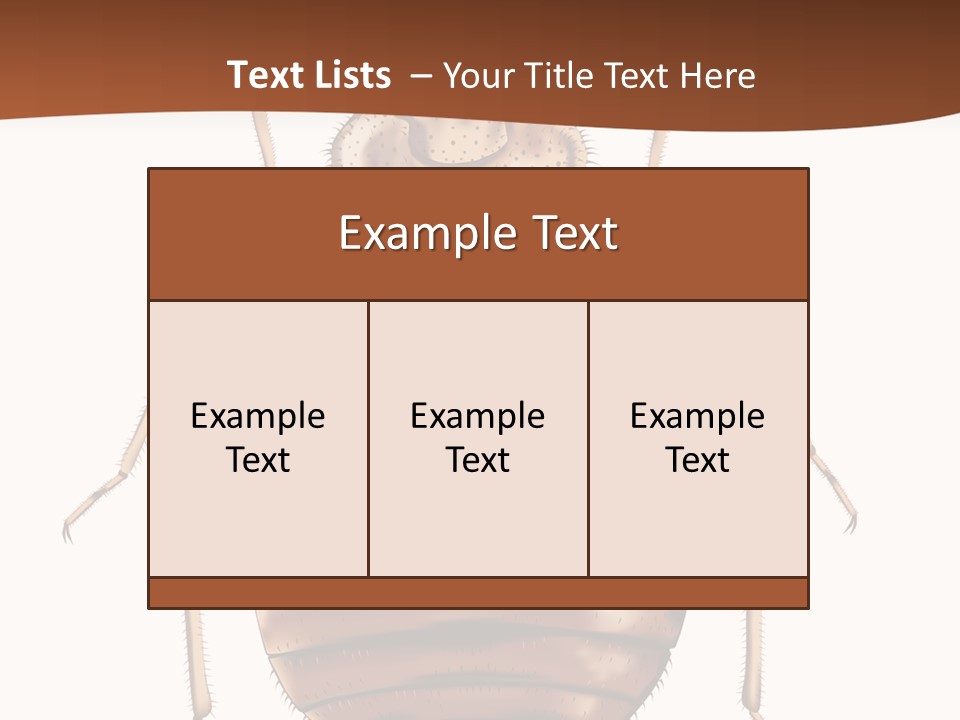 A Bed Bug On A White Background With A Brown Border PowerPoint Template
