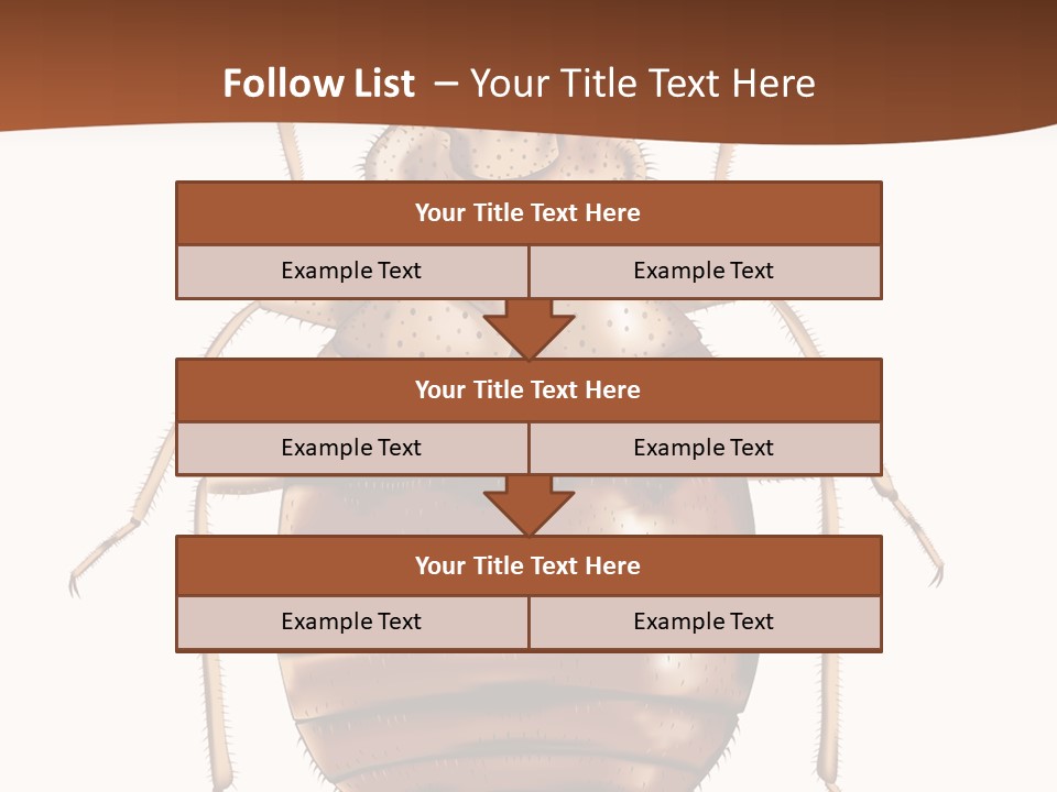 A Bed Bug On A White Background With A Brown Border PowerPoint Template