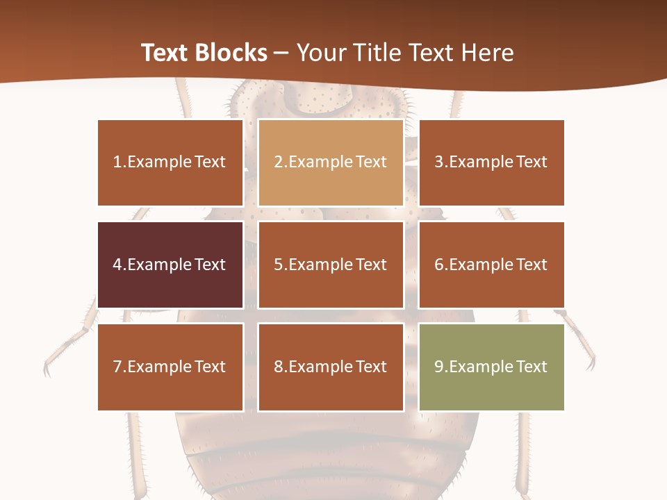 A Bed Bug On A White Background With A Brown Border PowerPoint Template