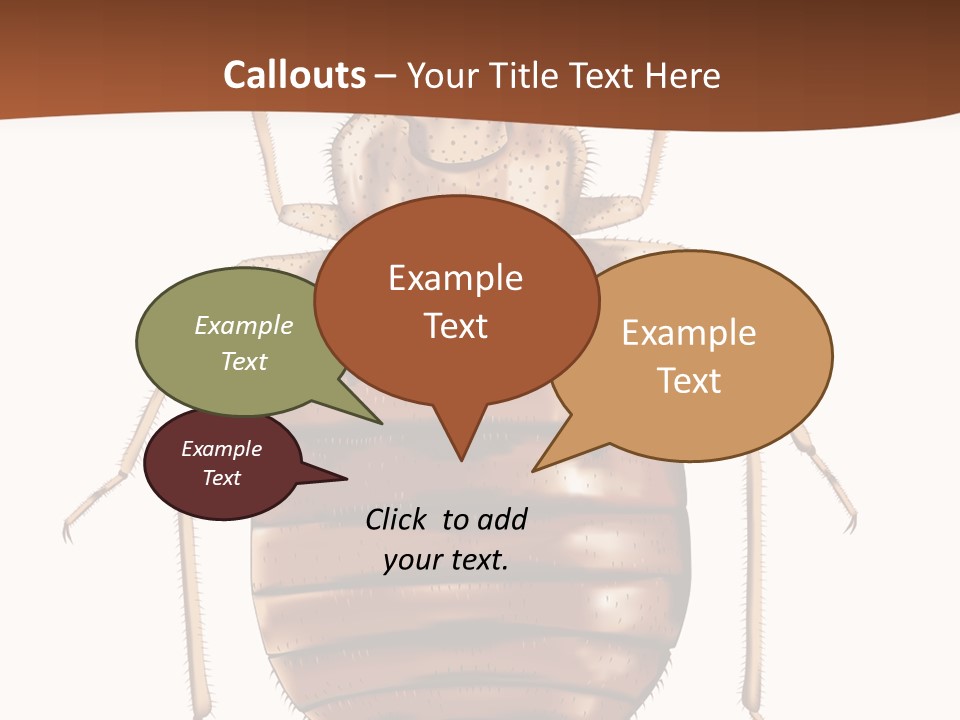 A Bed Bug On A White Background With A Brown Border PowerPoint Template