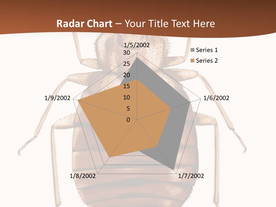 A Bed Bug On A White Background With A Brown Border PowerPoint Template