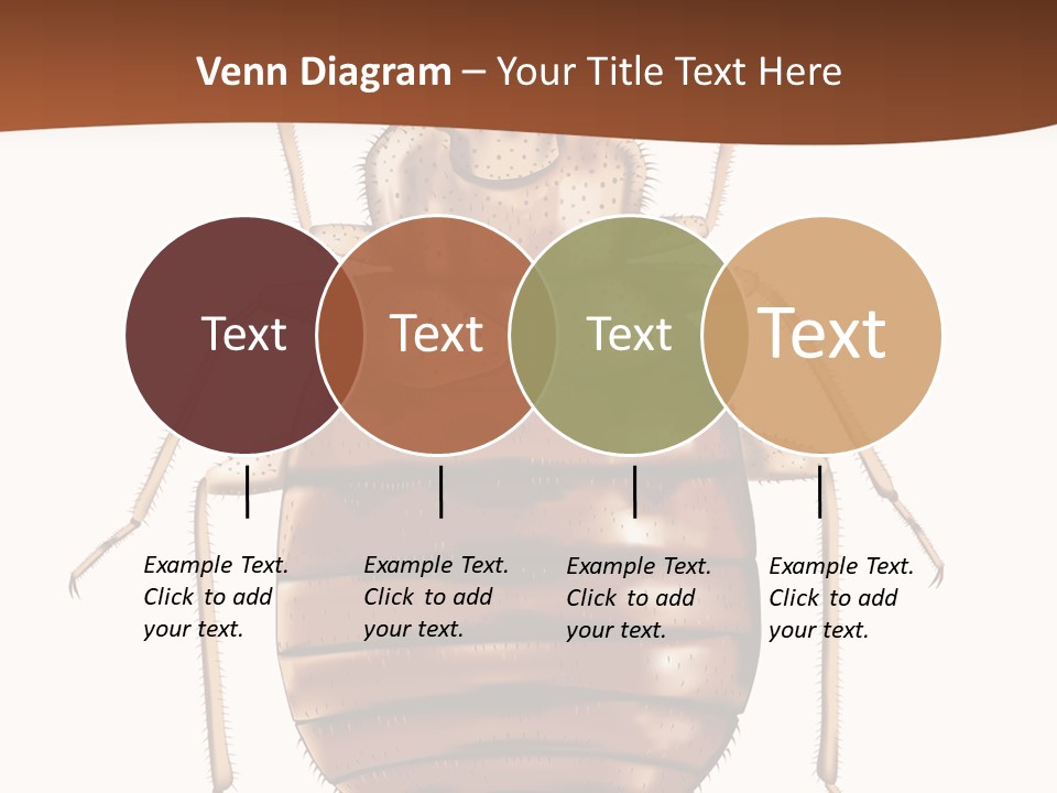 A Bed Bug On A White Background With A Brown Border PowerPoint Template