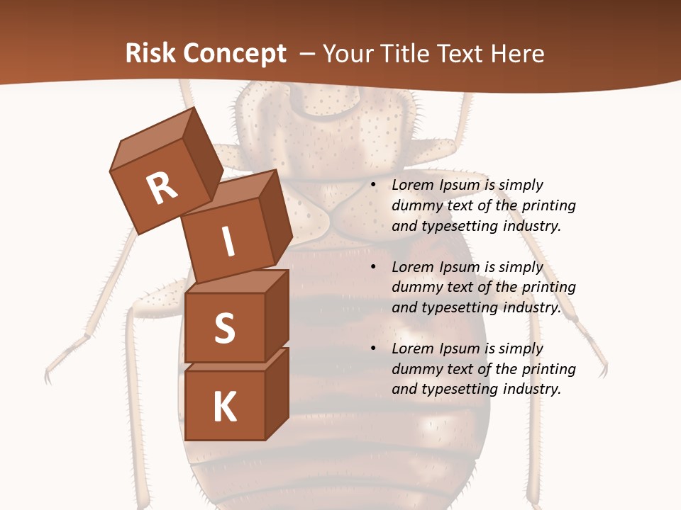 A Bed Bug On A White Background With A Brown Border PowerPoint Template