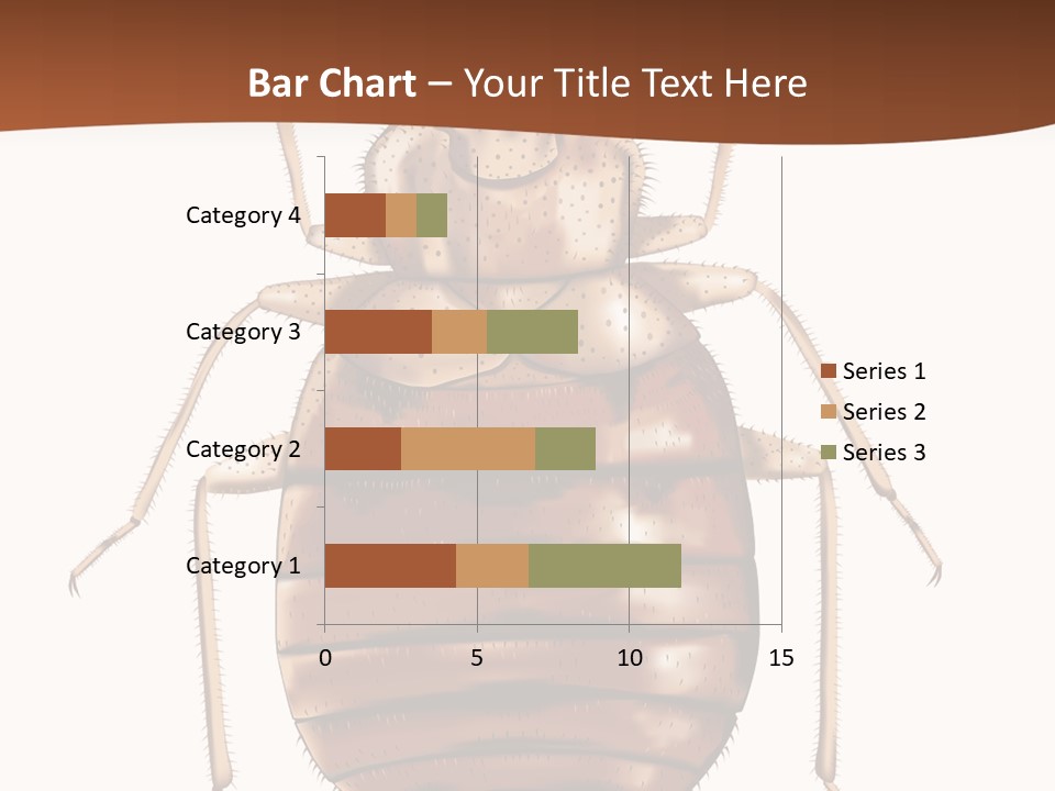 A Bed Bug On A White Background With A Brown Border PowerPoint Template