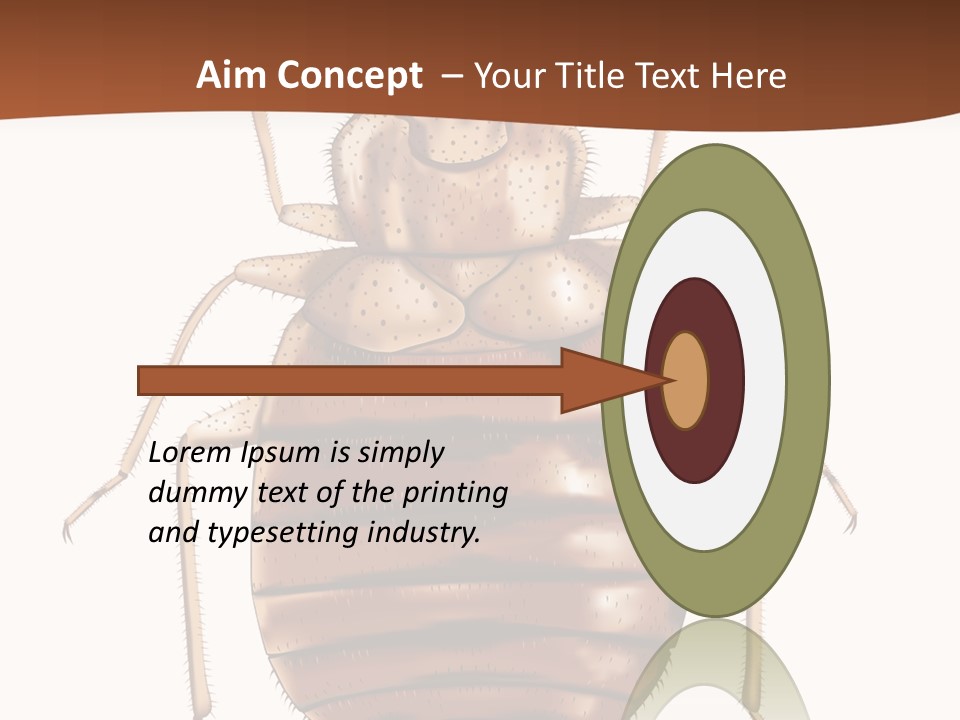 A Bed Bug On A White Background With A Brown Border PowerPoint Template