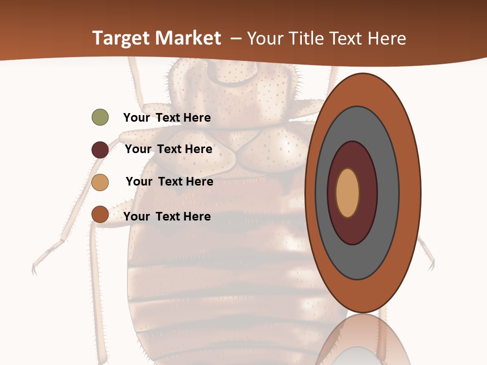 A Bed Bug On A White Background With A Brown Border PowerPoint Template