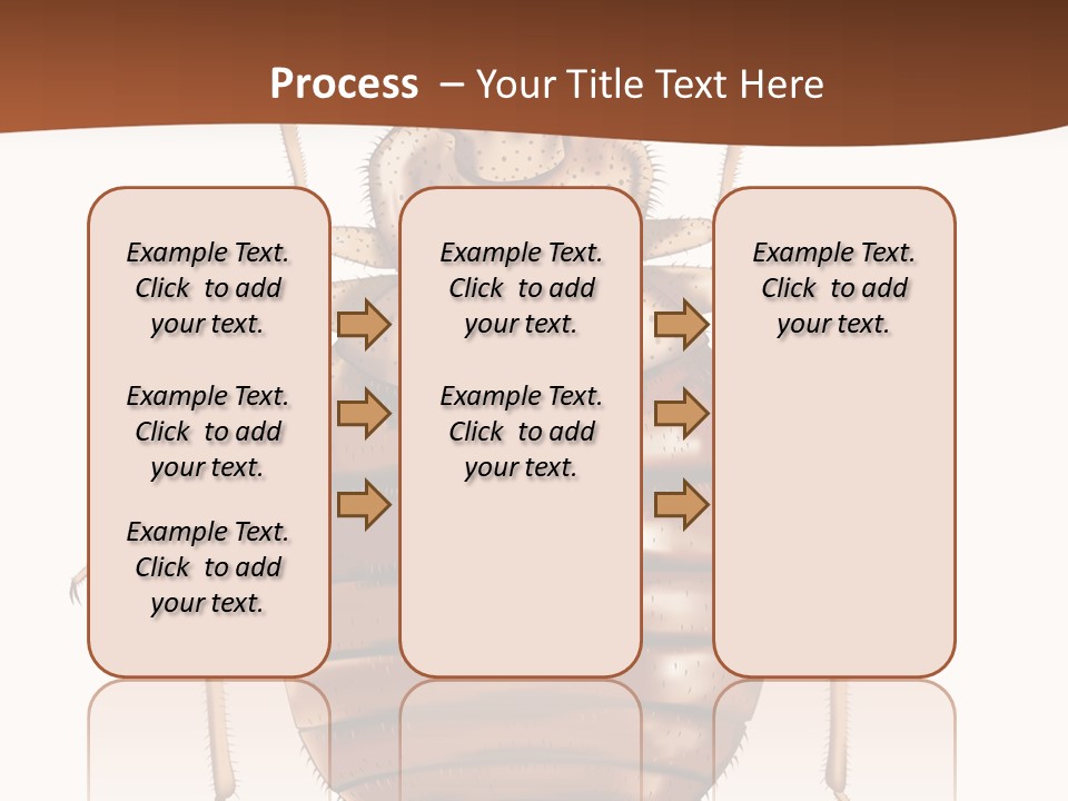 A Bed Bug On A White Background With A Brown Border PowerPoint Template