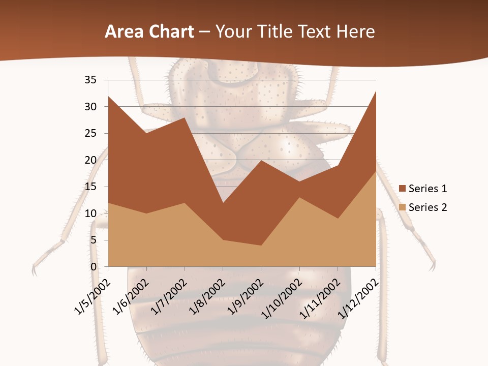 A Bed Bug On A White Background With A Brown Border PowerPoint Template