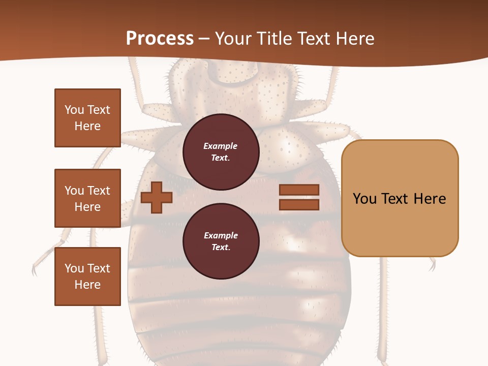 A Bed Bug On A White Background With A Brown Border PowerPoint Template