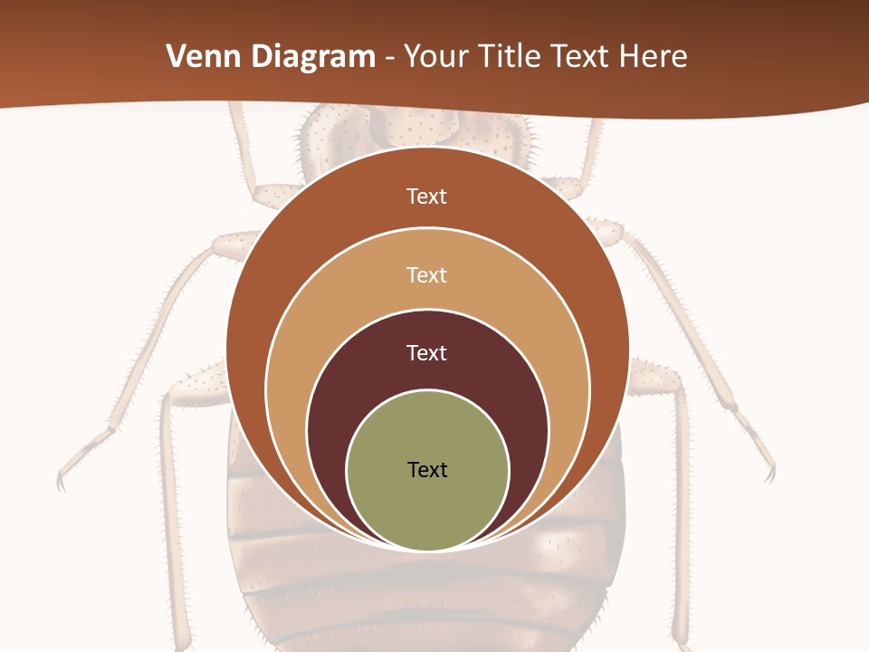A Bed Bug On A White Background With A Brown Border PowerPoint Template