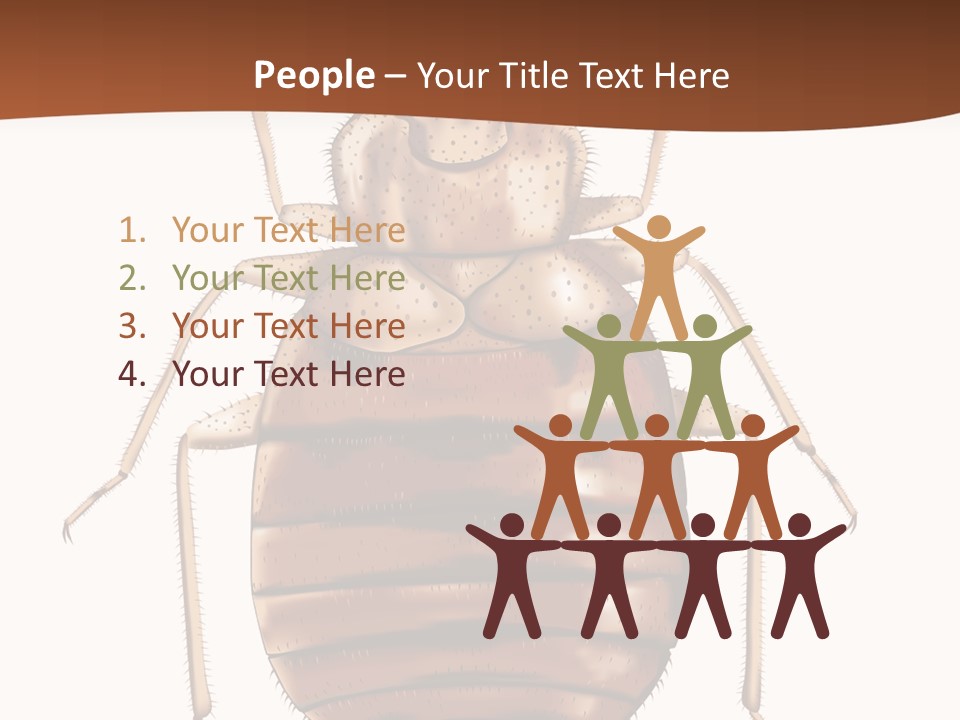 A Bed Bug On A White Background With A Brown Border PowerPoint Template