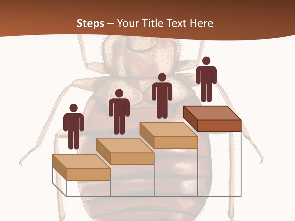 A Bed Bug On A White Background With A Brown Border PowerPoint Template