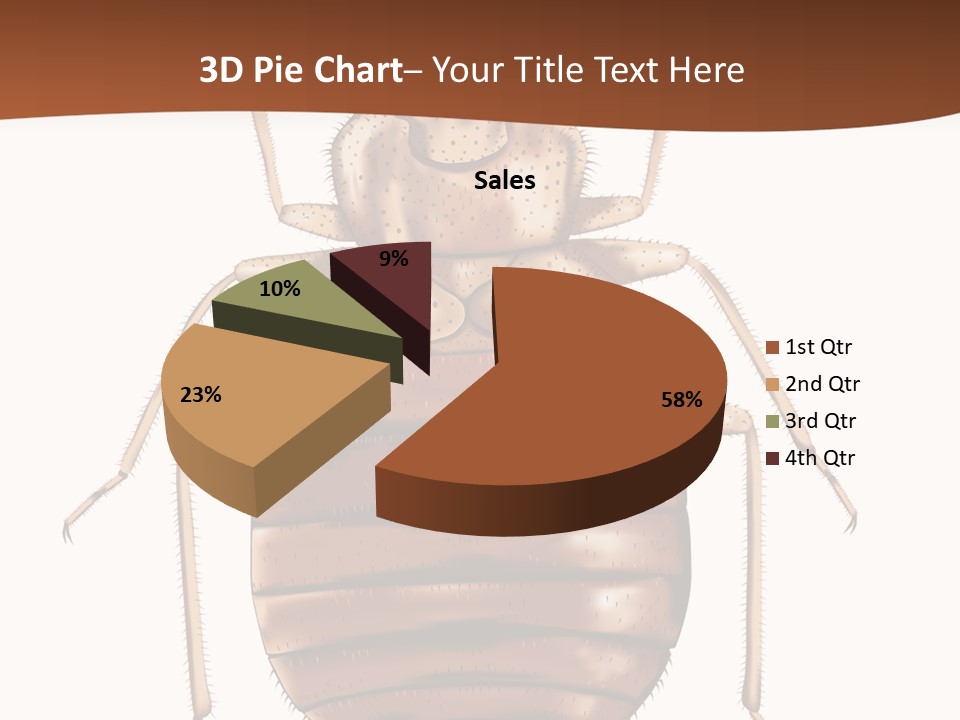 A Bed Bug On A White Background With A Brown Border PowerPoint Template