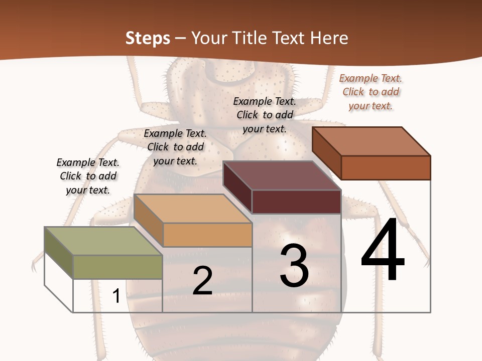 A Bed Bug On A White Background With A Brown Border PowerPoint Template