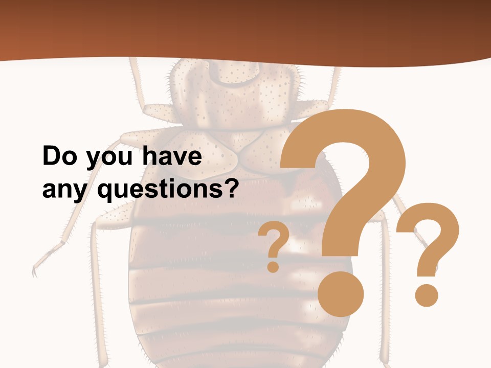 A Bed Bug On A White Background With A Brown Border PowerPoint Template