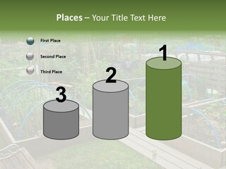 A Garden Filled With Lots Of Green Plants PowerPoint Template