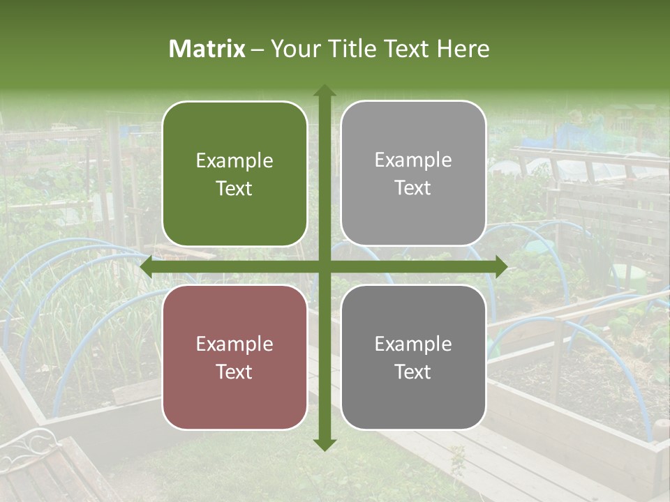 A Garden Filled With Lots Of Green Plants PowerPoint Template