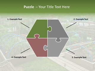 A Garden Filled With Lots Of Green Plants PowerPoint Template