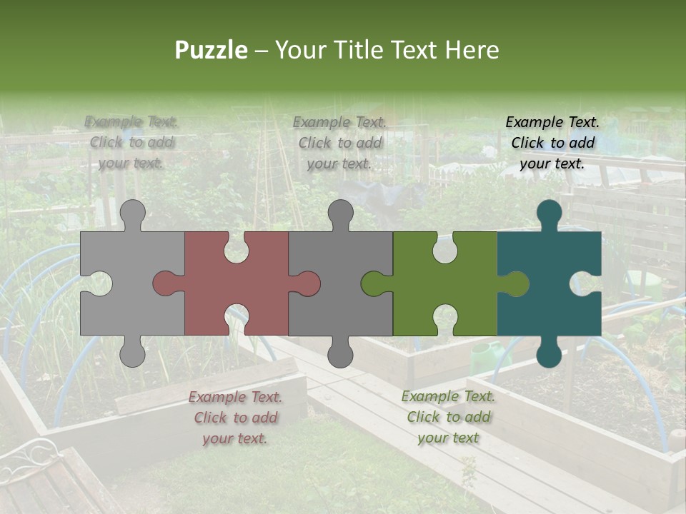 A Garden Filled With Lots Of Green Plants PowerPoint Template