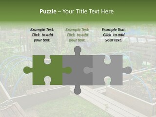 A Garden Filled With Lots Of Green Plants PowerPoint Template