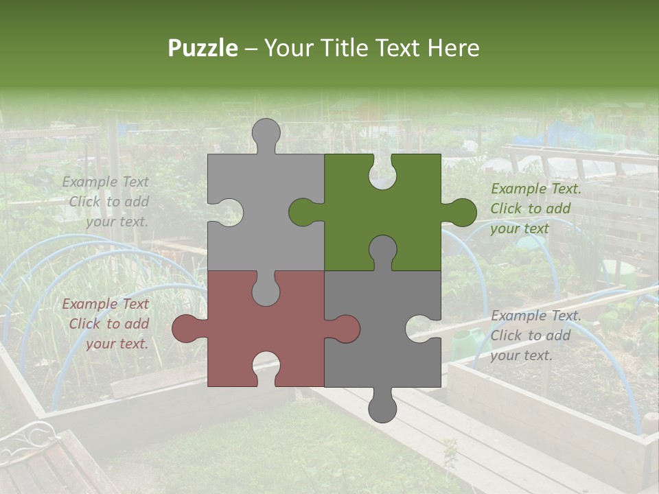 A Garden Filled With Lots Of Green Plants PowerPoint Template