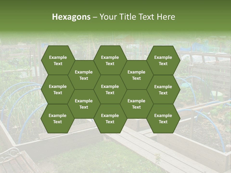 A Garden Filled With Lots Of Green Plants PowerPoint Template