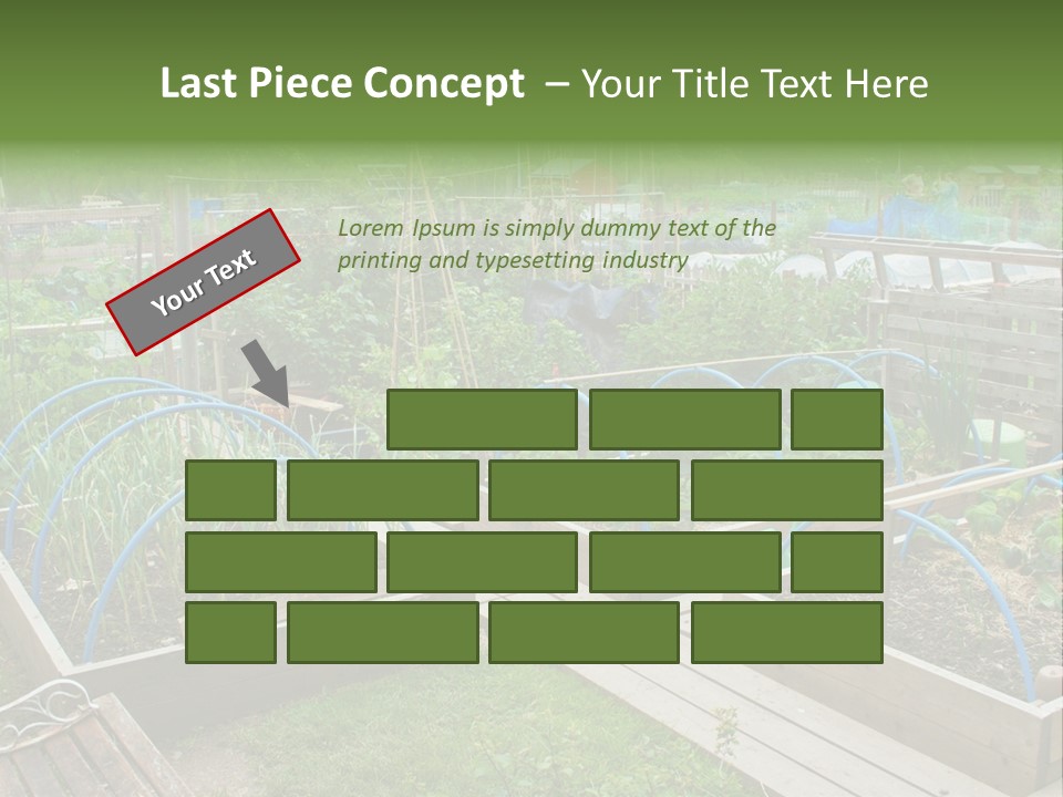 A Garden Filled With Lots Of Green Plants PowerPoint Template