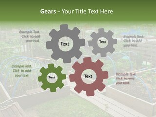 A Garden Filled With Lots Of Green Plants PowerPoint Template