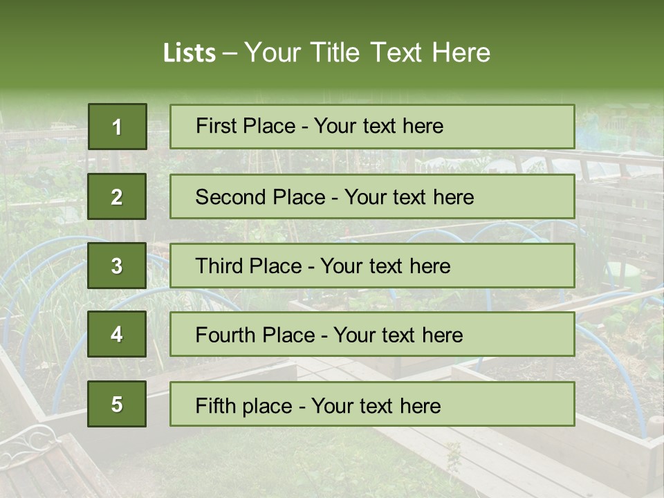 A Garden Filled With Lots Of Green Plants PowerPoint Template